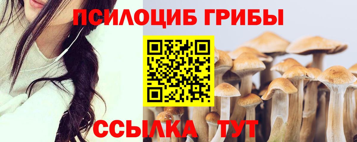Псилоцибиновые грибы мухоморы Кропоткин